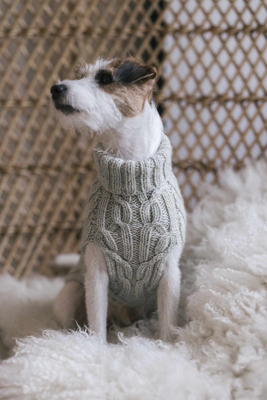 Hiljainen ilta Hundepullover | warm und robust aus Arctic Wool von Novita