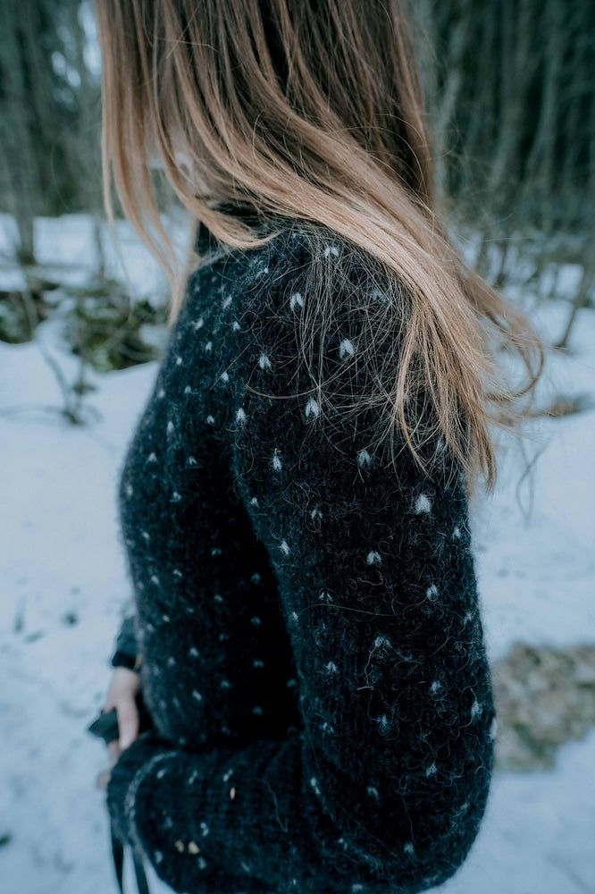 Wolf Winter (PDF, English) - Instructions