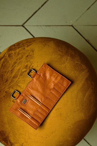 Carita I Case | perfect for your needle tips