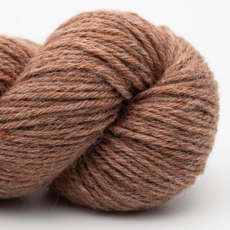 Erika Knight Wool Local Aran Farbe 810