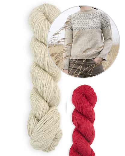 Pull Balsam | délicat motif norvégien en Sheepsoft DK de Bramble & Fleece