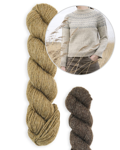 Pull Balsam | délicat motif norvégien en Sheepsoft DK de Bramble & Fleece