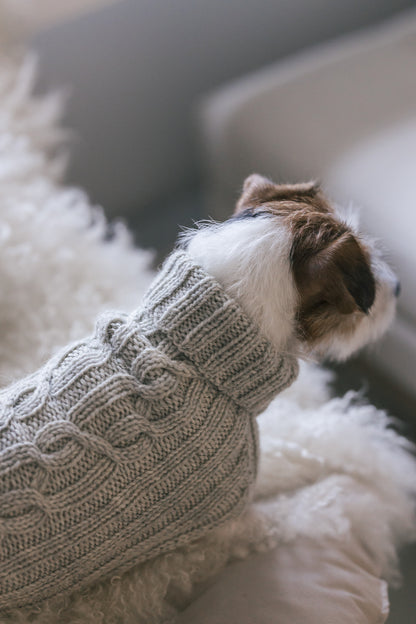 Hiljainen ilta Hundepullover | warm und robust aus Arctic Wool von Novita