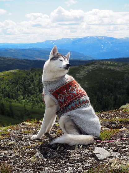Alasuq Pullover Dog | for your dog from Alafosslopi by Lopi Island