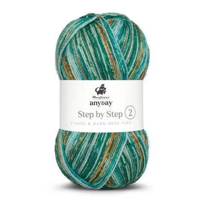 Anyday Step by Step 2 | traumschönes Sockengarn