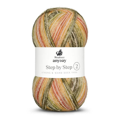 Anyday Step by Step 2 | traumschönes Sockengarn