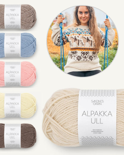 Linka Neumann Norwegian Fjordhorse Sweater mit Alpakka Ull von Sandnes Garn 6