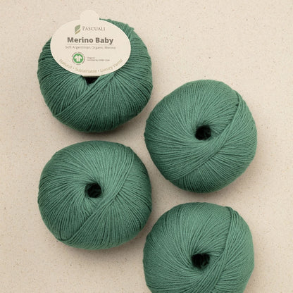 Pascuali Merino Baby Farbe 318