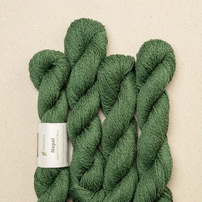 Pascuali Nepal Farbe 10