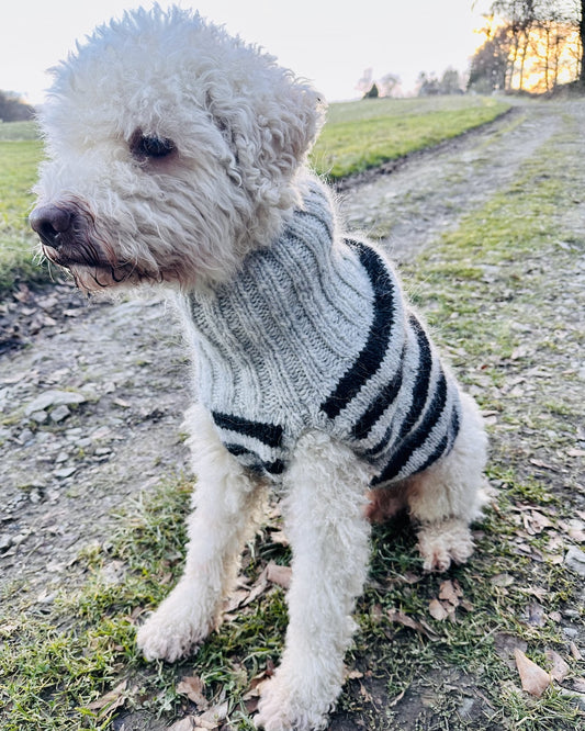 Dog Sweater Black Sheep (PDF) - pattern