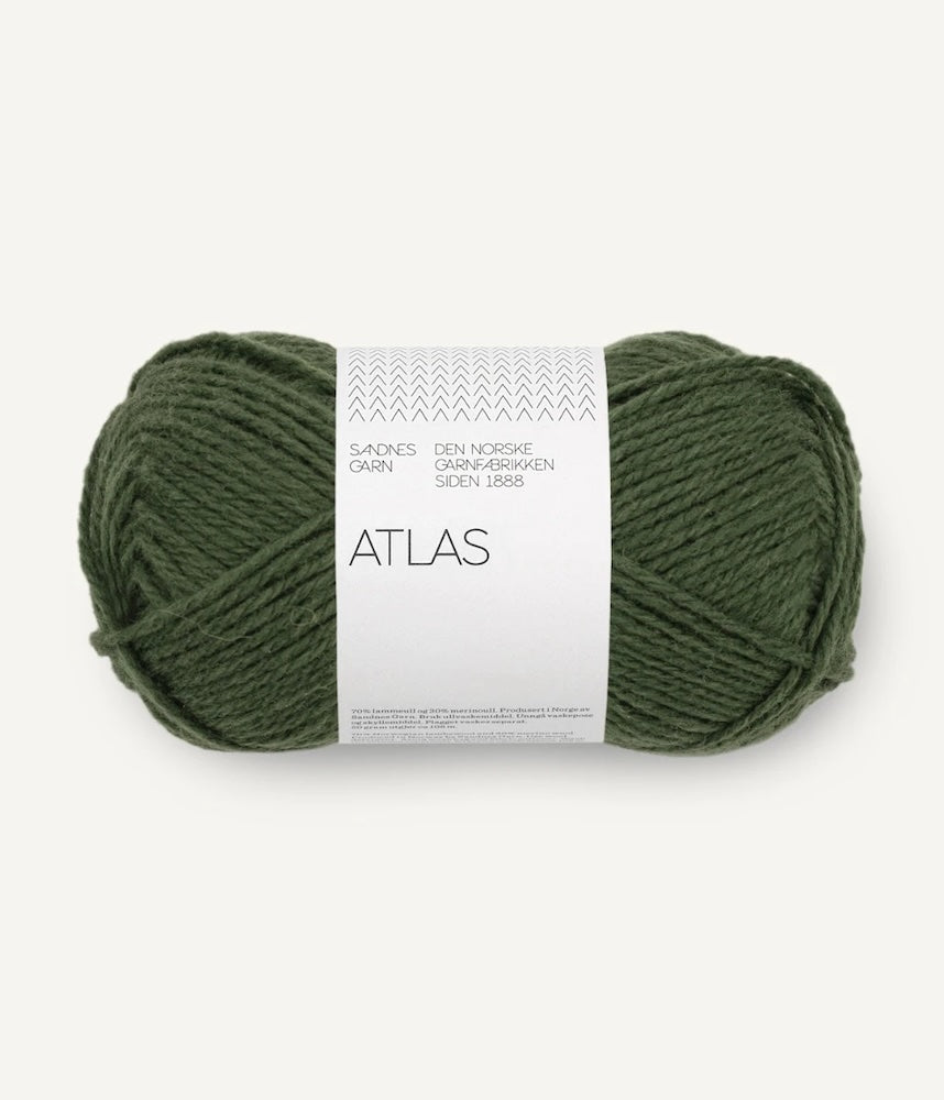 Sandnes Garn Atlas Farbe 8571