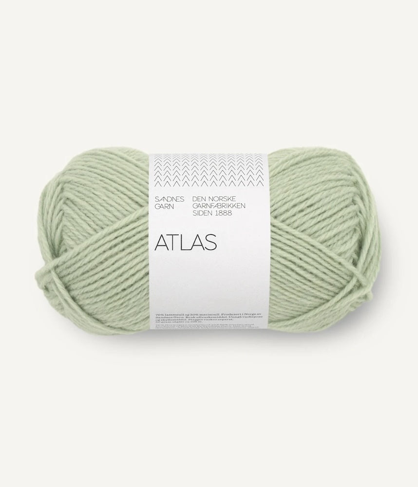 Sandnes Garn Atlas Farbe 8521