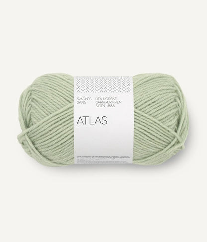 Sandnes Garn Atlas Farbe 8521