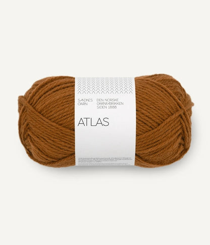 Sandnes Garn Atlas Farbe 2573