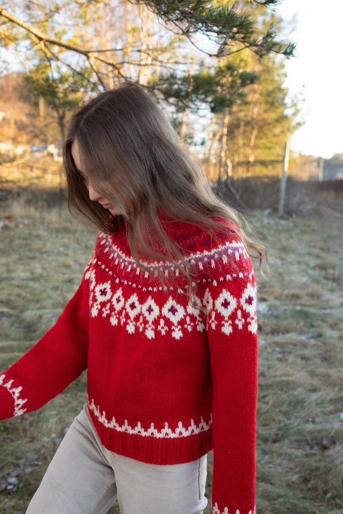 Sandnes Christmasgrynet mit Gratisanleitung für Frauen aus Fritidsgarn 3