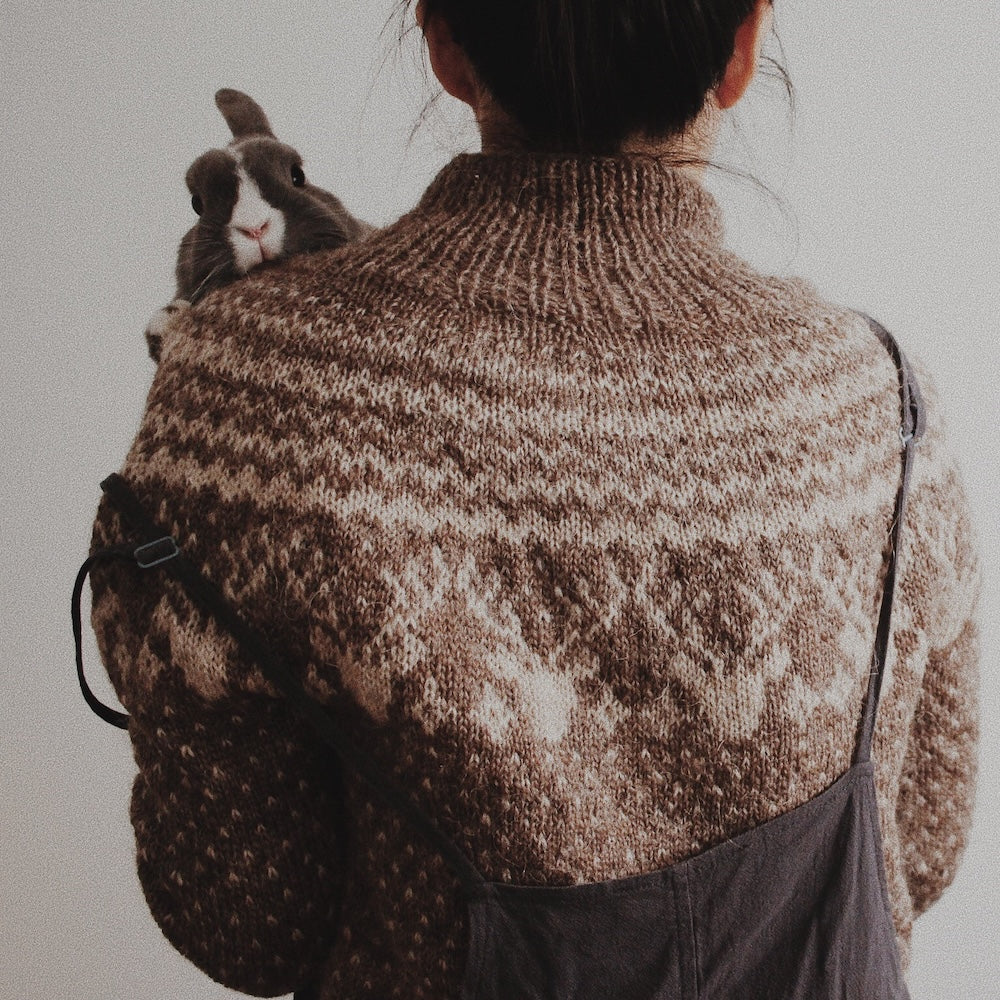 Pull Karibou | motif hivernal en Plötulopi de Lopi Island