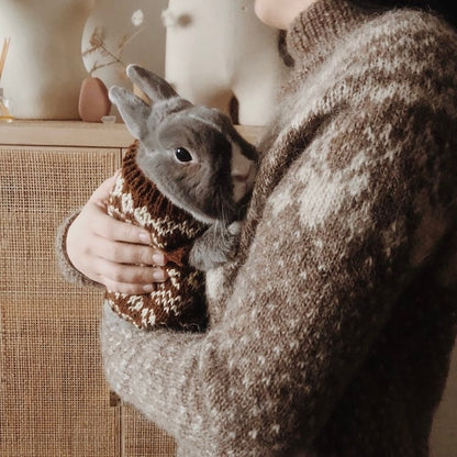 Pull Karibou | motif hivernal en Plötulopi de Lopi Island
