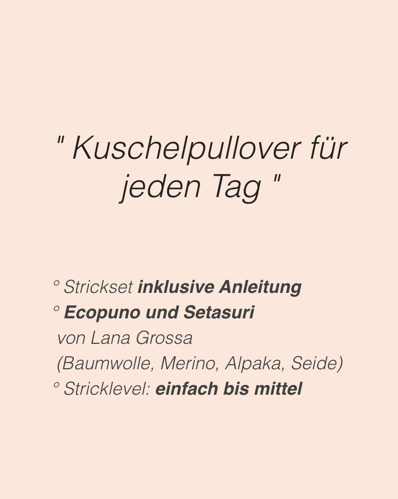 Sneakersweater Sinchens Lana Grossa mit Ecopuno und Setasuri 2