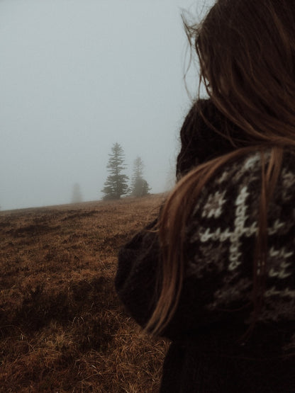 Fjelltur Sweater | kontrastreiches Norwegermuster aus Alafosslopi von Lopi Island