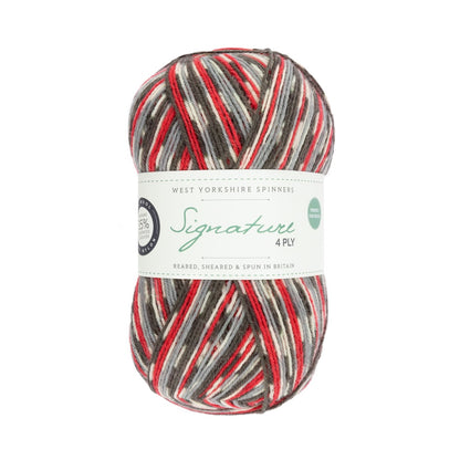 Signature 4-ply Country Birds | sock yarn in the colors of native songbirds