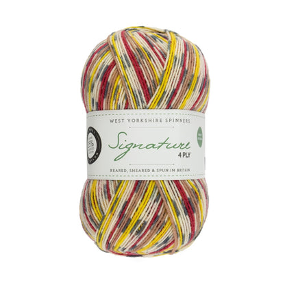 Signature 4-ply Country Birds | sock yarn in the colors of native songbirds