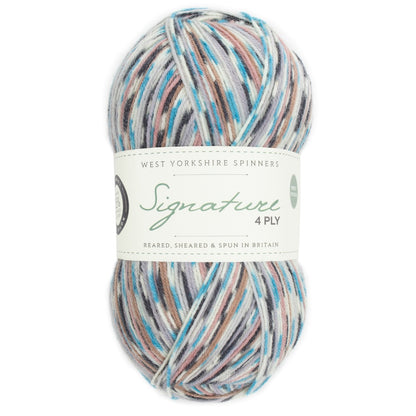 Signature 4-ply Country Birds | sock yarn in the colors of native songbirds