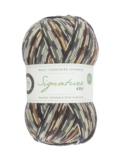 Signature 4-ply Country Birds | sock yarn in the colors of native songbirds