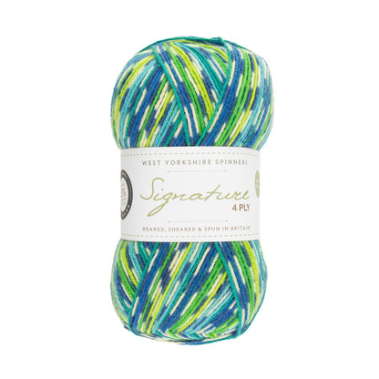 Signature 4-ply Country Birds | sock yarn in the colors of native songbirds