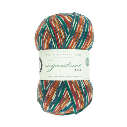 Signature 4-ply Country Birds | sock yarn in the colors of native songbirds