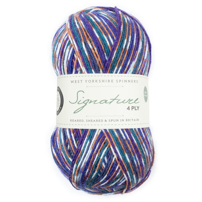 Signature 4-ply Country Birds | sock yarn in the colors of native songbirds