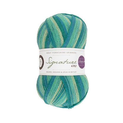 Signature 4-ply Winwick Mum | self-striping sock yarn