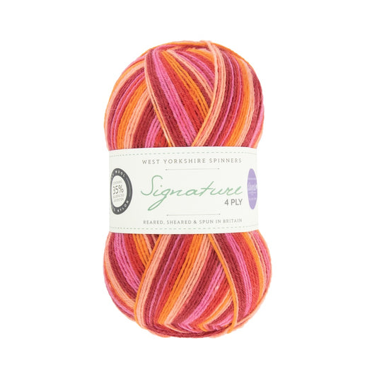 Signature 4-ply Winwick Mum | selbststreifendes Sockengarn