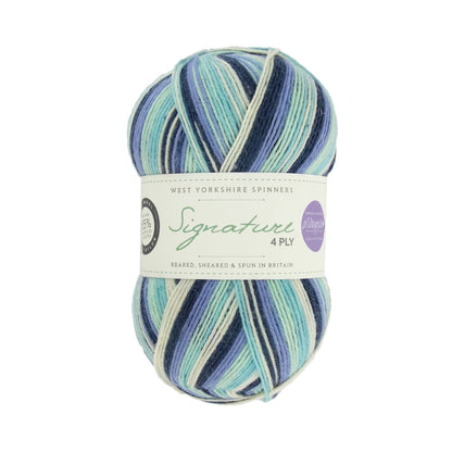 Signature 4-ply Winwick Mum | self-striping sock yarn