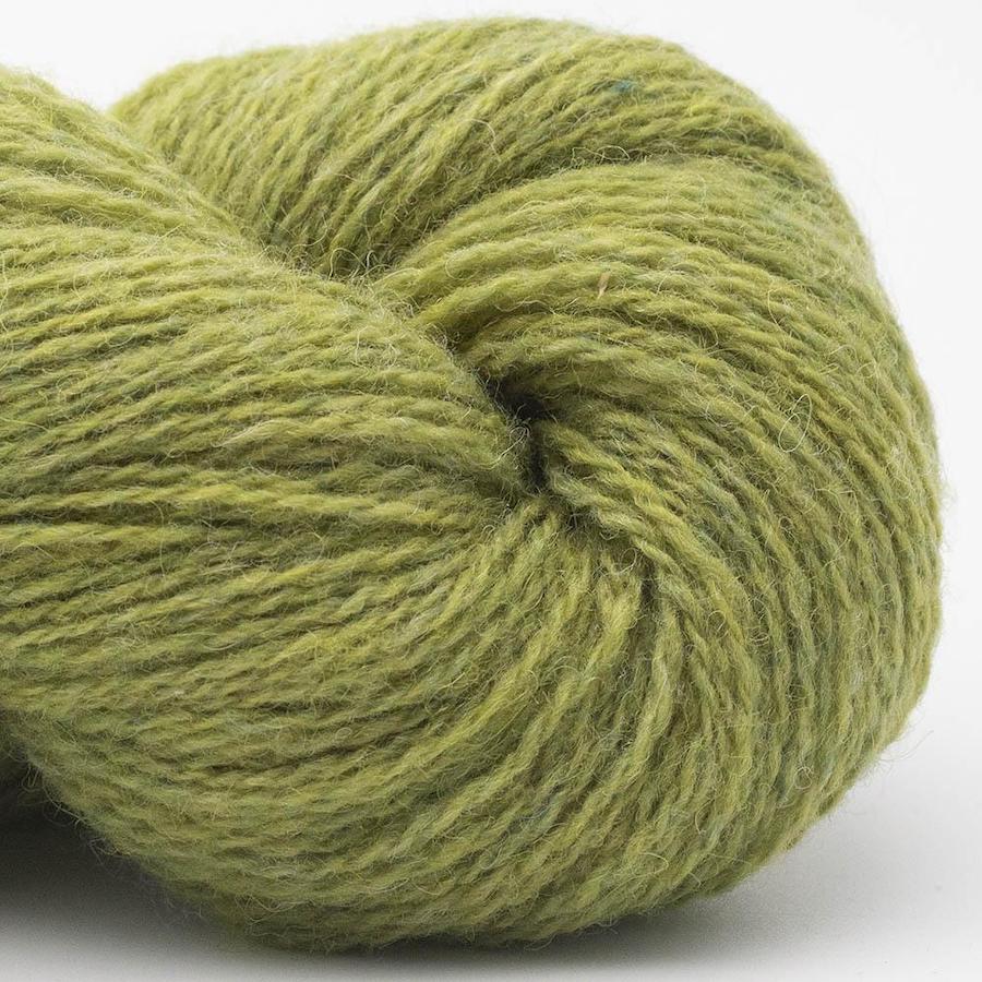 BC Garn Bio Shetland Farbe 10