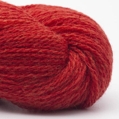 BC Garn Bio Shetland Farbe 36