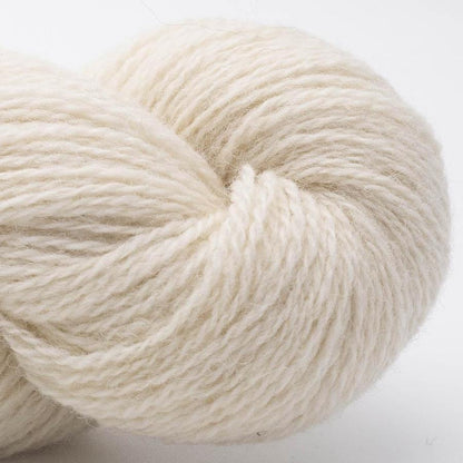 BC Garn Bio Shetland Farbe 39