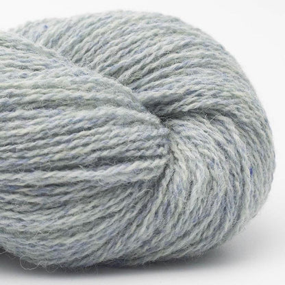 BC Garn Bio Shetland Farbe 55