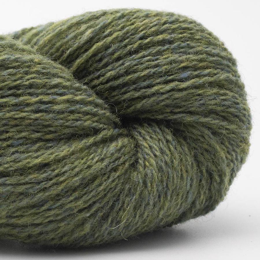BC Garn Bio Shetland Farbe 56