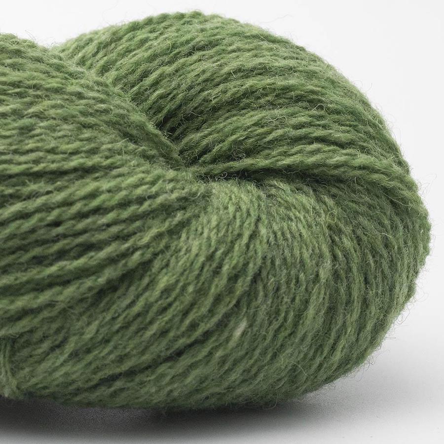 BC Garn Bio Shetland Farbe 57