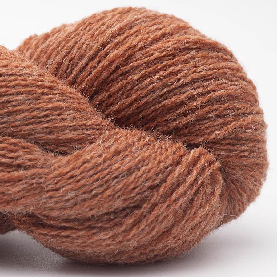 BC Garn Bio Shetland Farbe 62