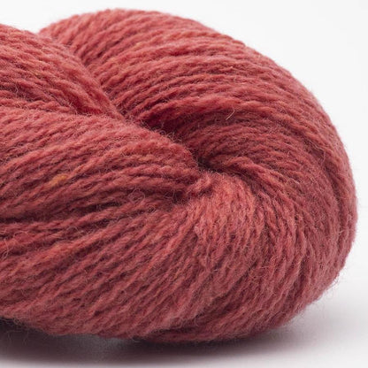 BC Garn Bio Shetland Farbe 64