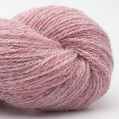 BC Garn Bio Shetland Farbe 66