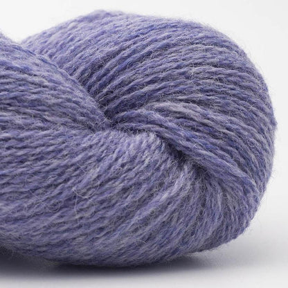 BC Garn Bio Shetland Farbe 69