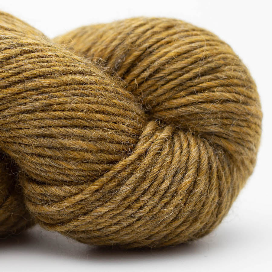 Erika Knight Wild Wool Farbe 704